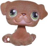 #0439 Pug